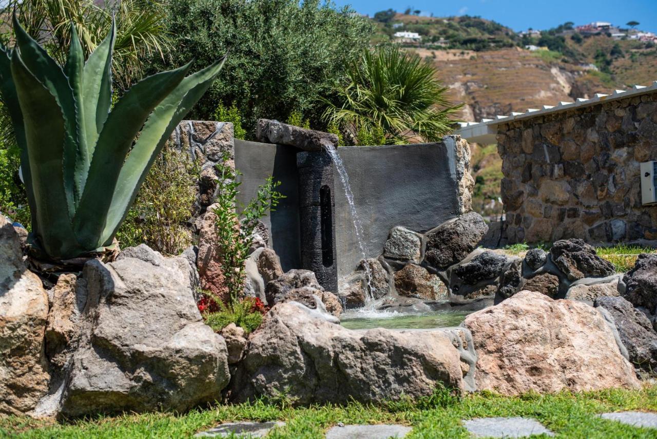 Bed and Breakfast Sorgeto Garden Forio di Ischia Exteriér fotografie