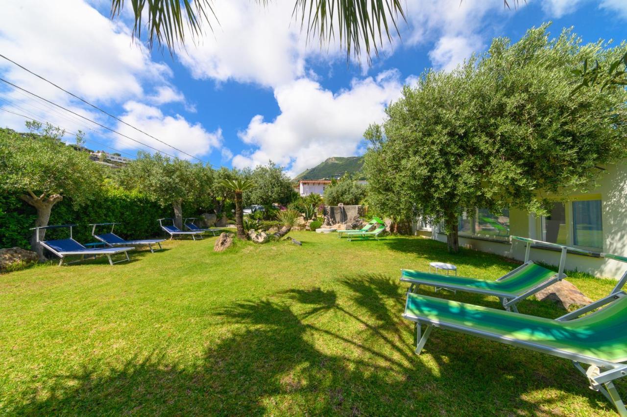 Bed and Breakfast Sorgeto Garden Forio di Ischia Exteriér fotografie