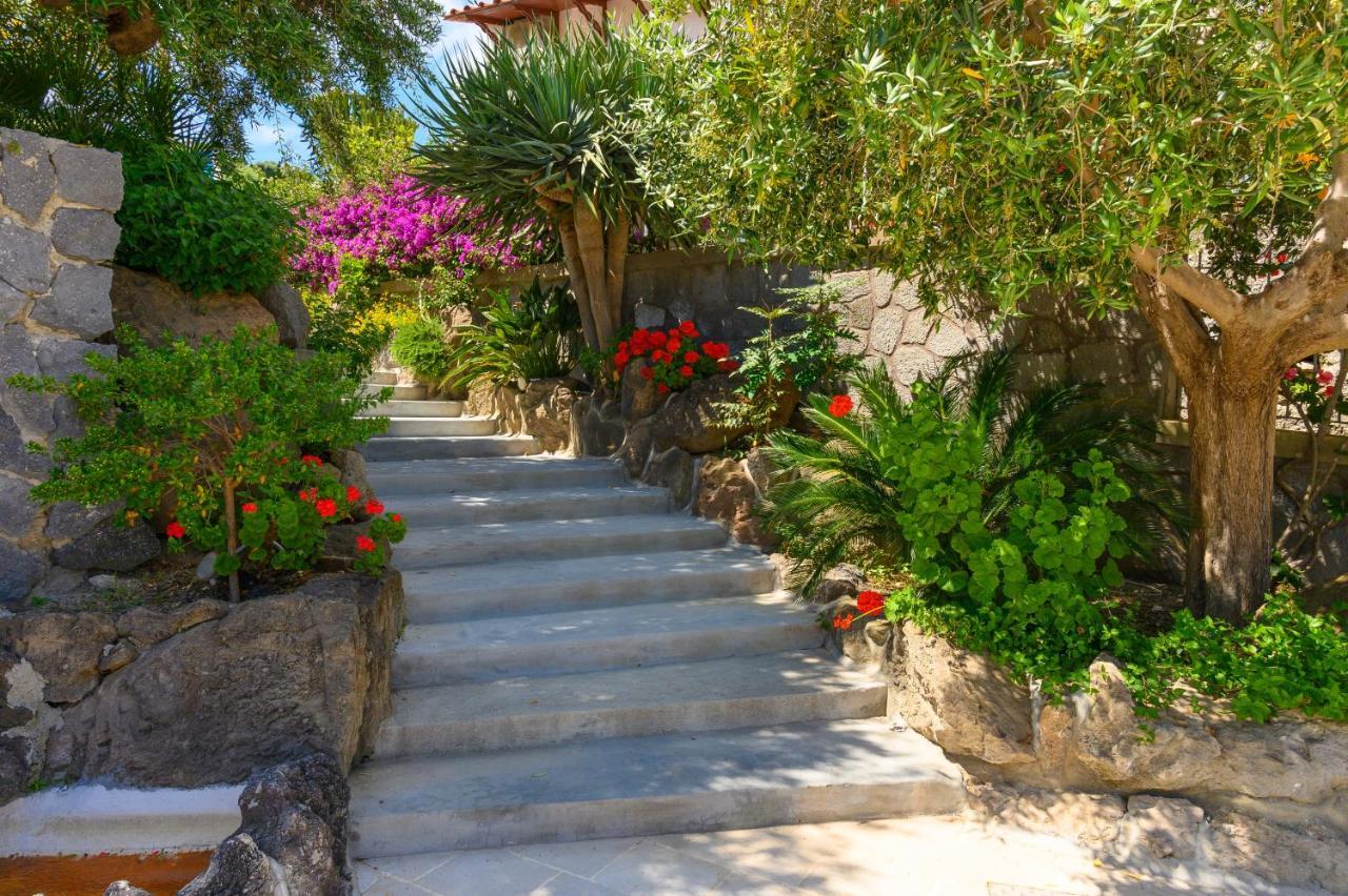 Bed and Breakfast Sorgeto Garden Forio di Ischia Exteriér fotografie