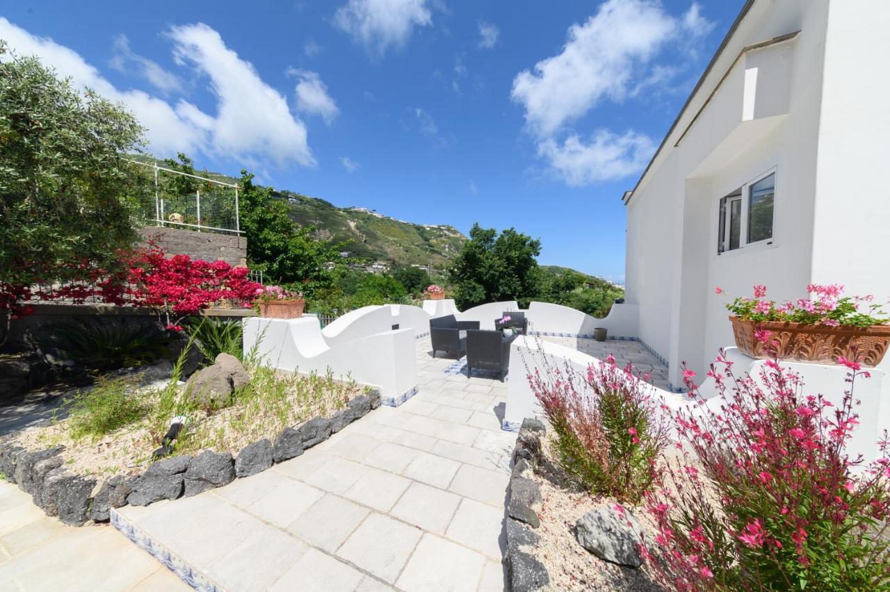 Bed and Breakfast Sorgeto Garden Forio di Ischia Exteriér fotografie